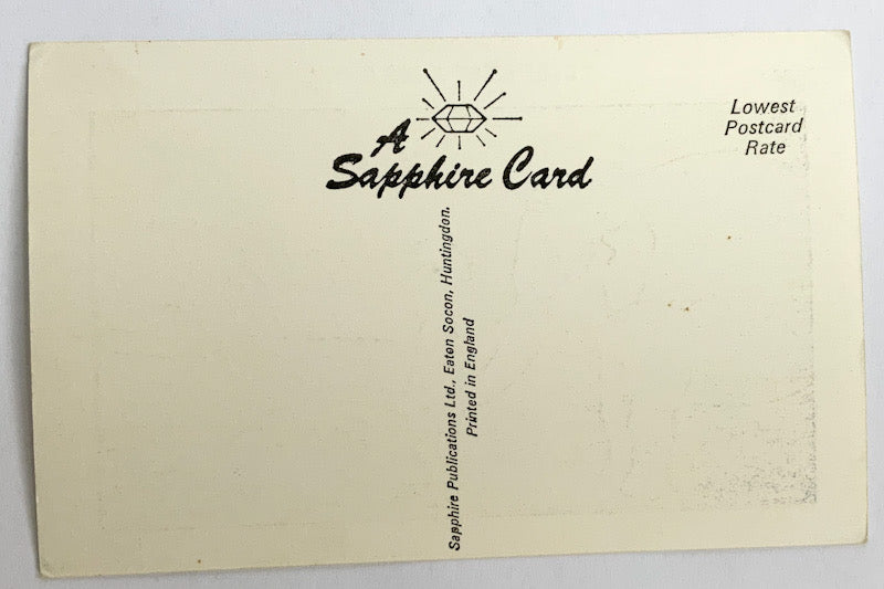 Vintage Comical Comic Series Postcard