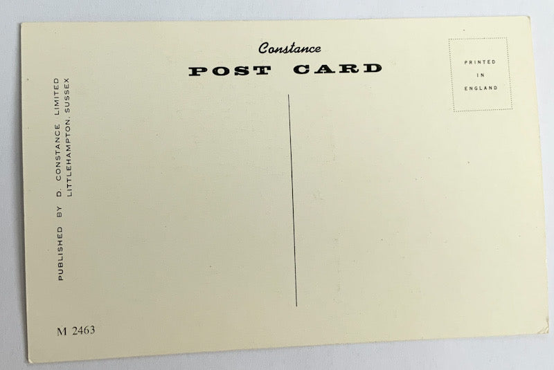 Vintage Comical Comic Series Postcard