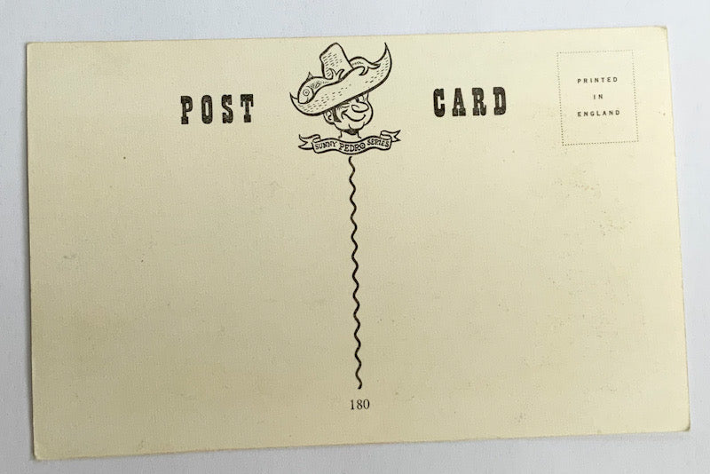 Vintage Comical Comic Series Postcard