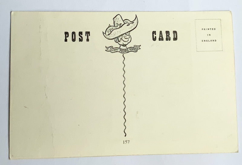 Vintage Comical Comic Series Postcard