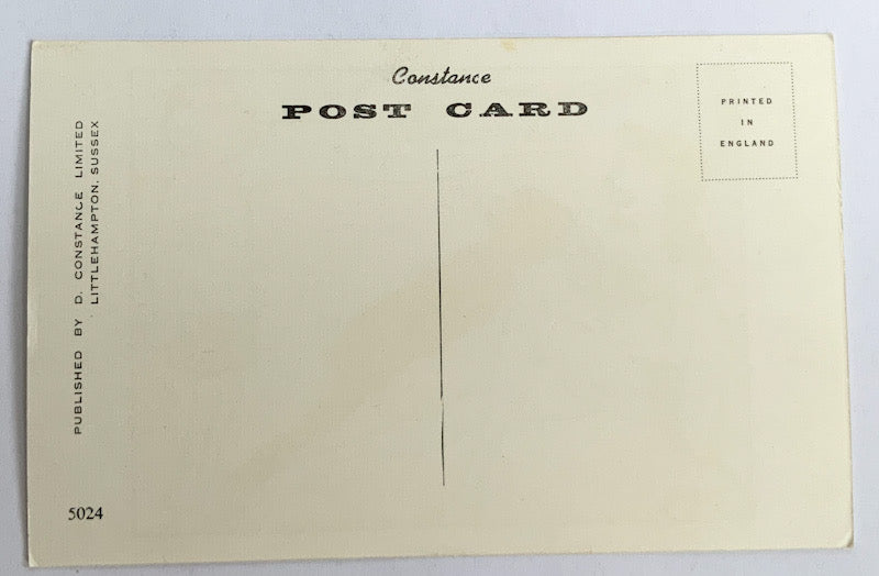 Vintage Comical Comic Series Postcard