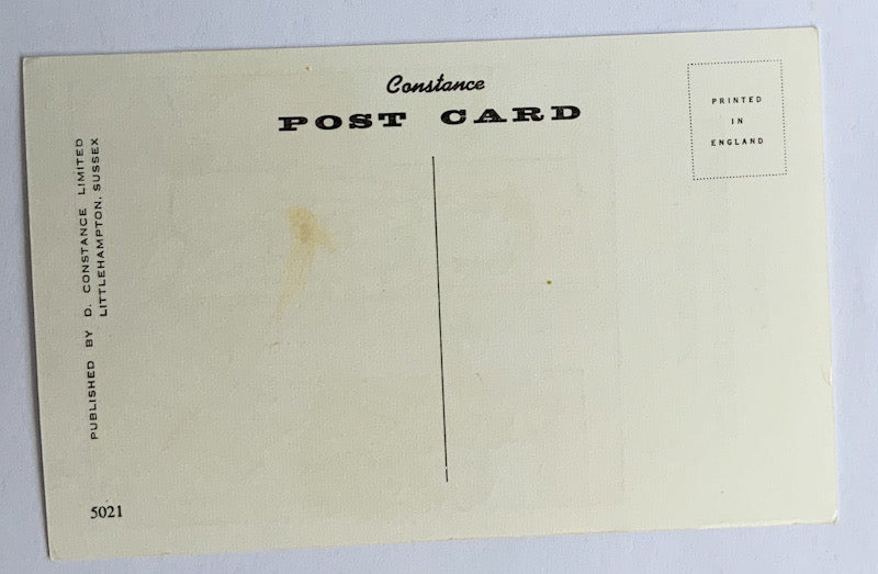 Vintage Comical Comic Series Postcard