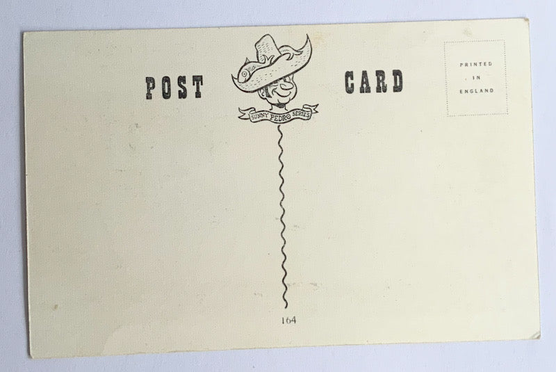 Vintage Comical Comic Series Postcard