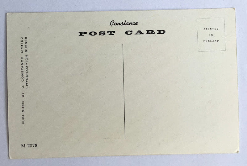 Vintage Comical Comic Series Postcard