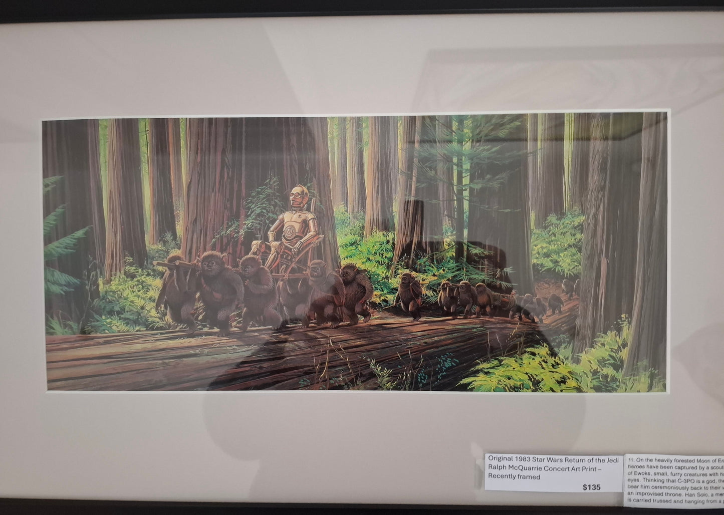 Original 1983 Star Wars Return of the Jedi Ralph McQuarrie Concept Art Print Framed #11