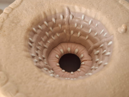 1995 Star Wars Planet Tatooine Sarlacc Pit Micro Machine