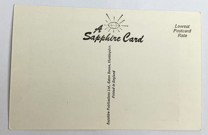 Vintage Comical Comic Series Postcard