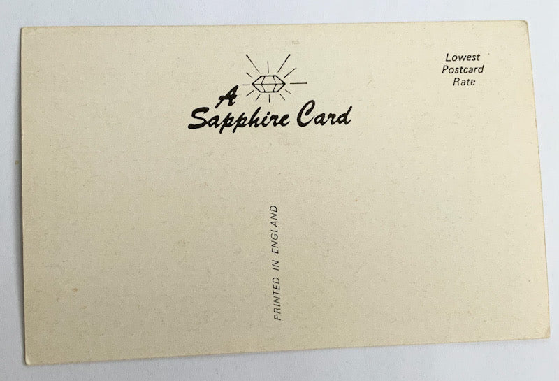 Vintage Comical Comic Series Postcard