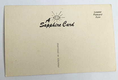 Vintage Comical Comic Series Postcard