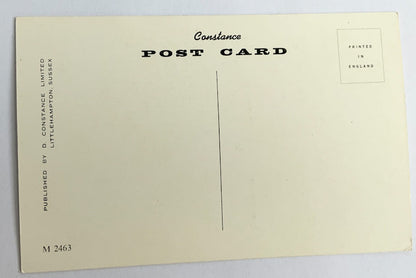 Vintage Comical Comic Series Postcard