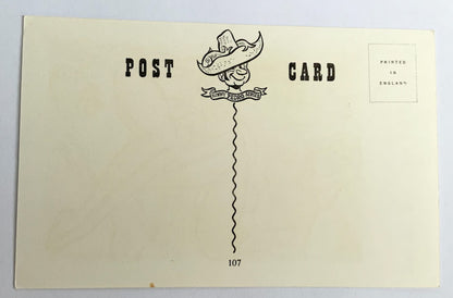 Vintage Comical Comic Series Postcard