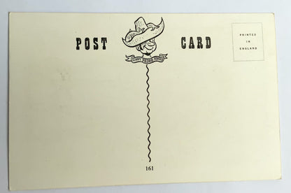 Vintage Comical Comic Series Postcard