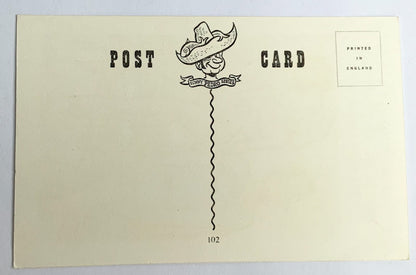 Vintage Comical Comic Series Postcard