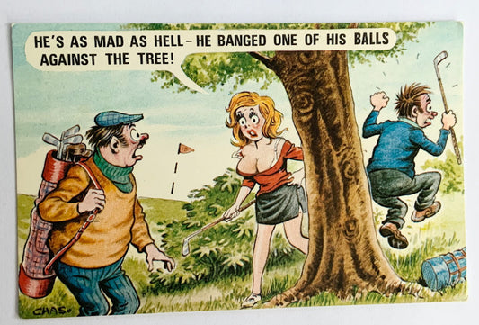 Vintage Comical Comic Series Postcard