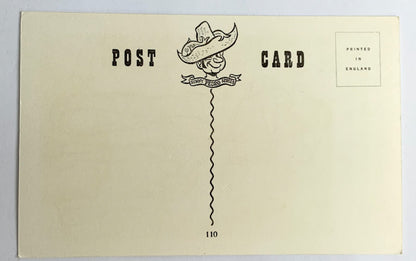 Vintage Comical Comic Series Postcard