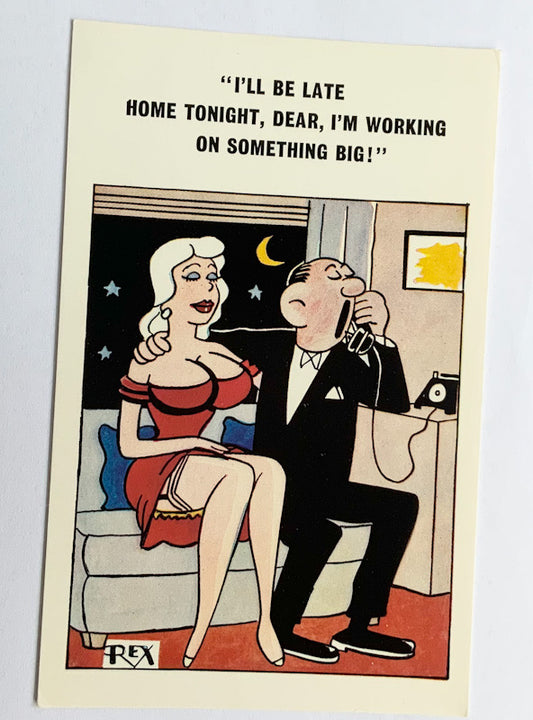 Vintage Comical Comic Series Postcard