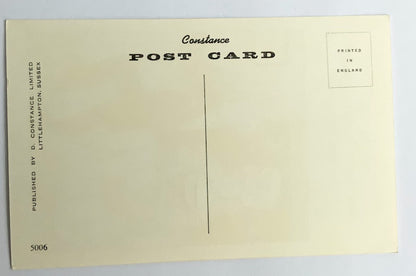 Vintage Comical Comic Series Postcard