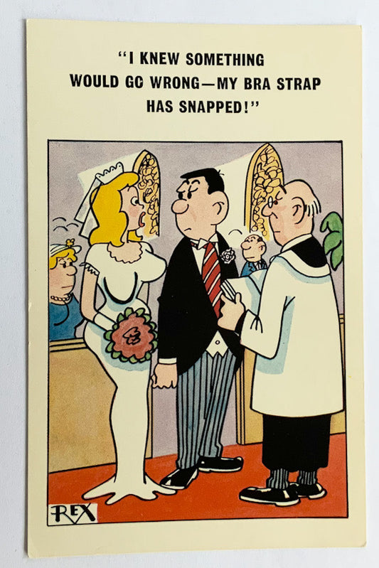 Vintage Comical Comic Series Postcard