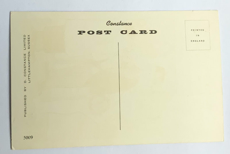 Vintage Comical Comic Series Postcard