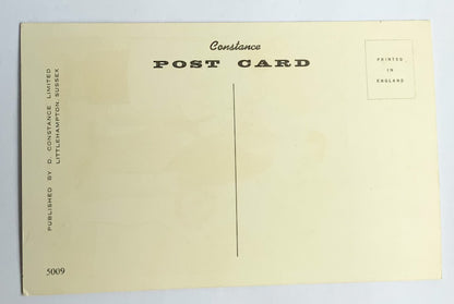 Vintage Comical Comic Series Postcard