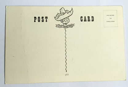 Vintage Comical Comic Series Postcard