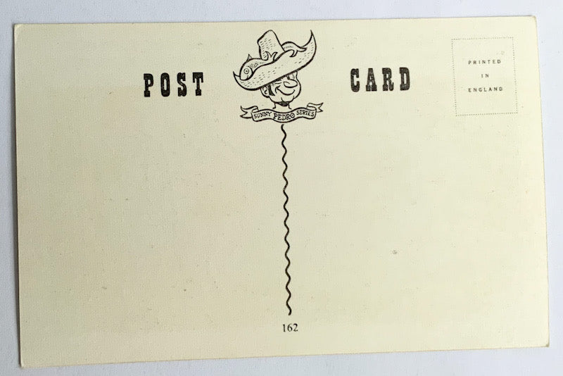 Vintage Comical Comic Series Postcard