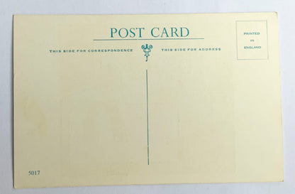 Vintage Comical Comic Series Postcard