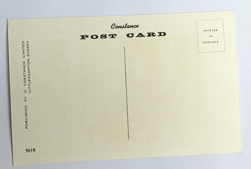 Vintage Comical Comic Series Postcard