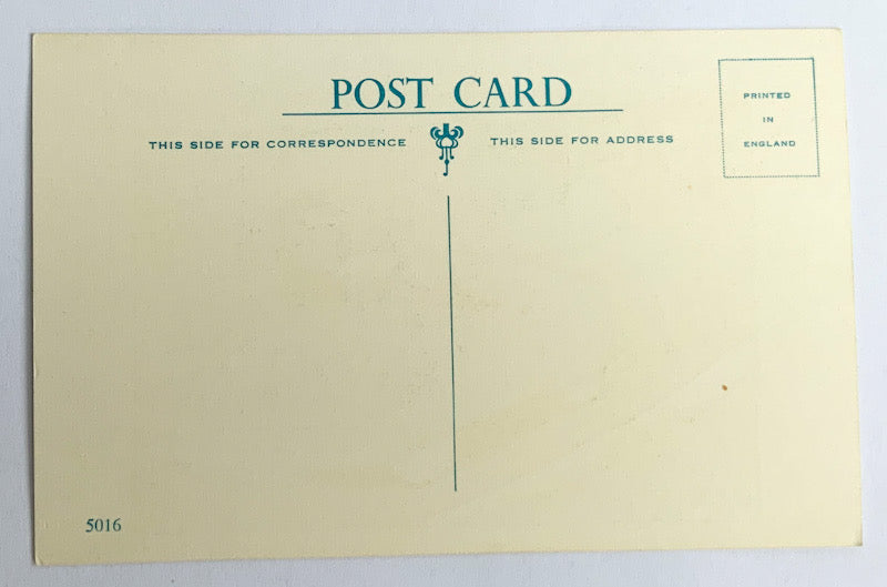 Vintage Comical Comic Series Postcard