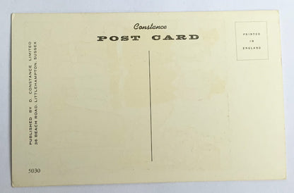 Vintage Comical Comic Series Postcard