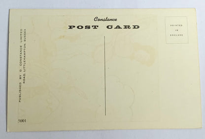 Vintage Comical Comic Series Postcard