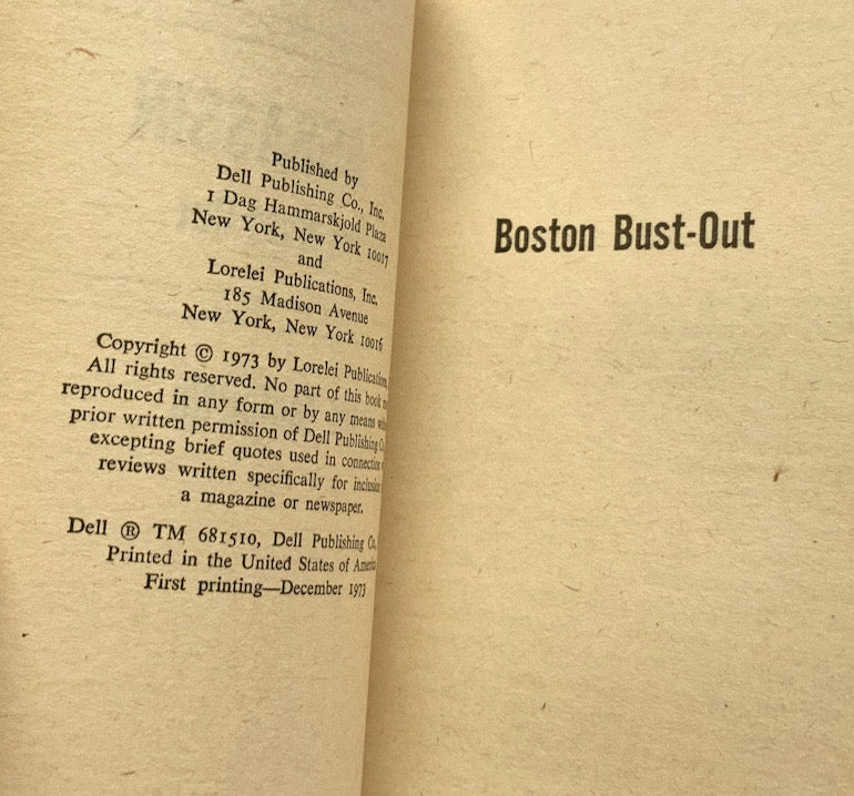 THE ASSASSIN BOSTON BUST OUT United States pulp fiction crime action book 1973