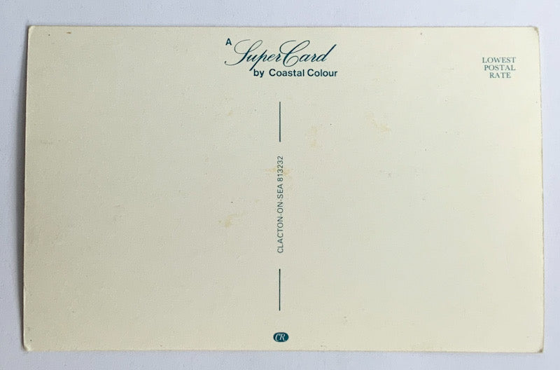 Vintage Comical Comic Series Postcard