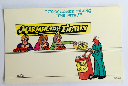 Vintage Comical Comic Series Postcard