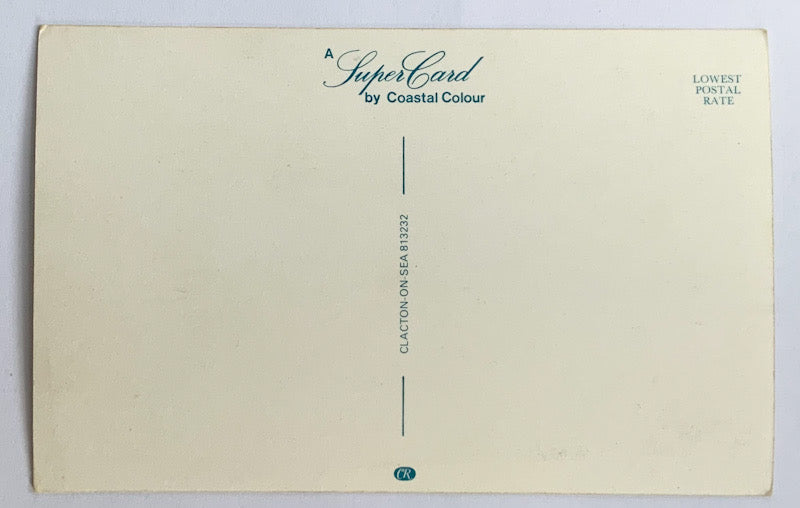 Vintage Comical Comic Series Postcard