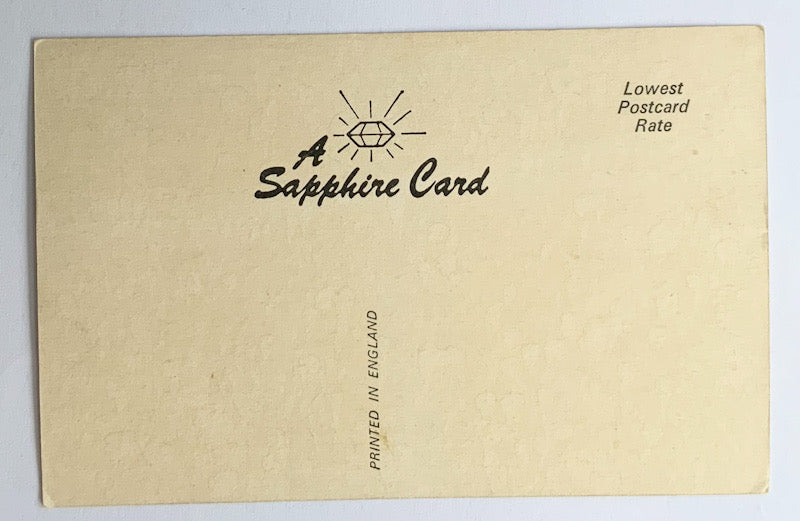 Vintage Comical Comic Series Postcard