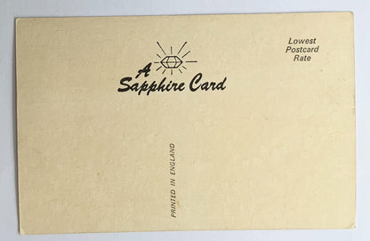 Vintage Comical Comic Series Postcard