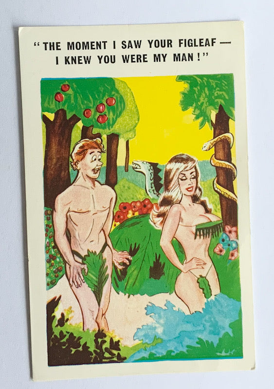 Vintage Comical Comic Series Postcard