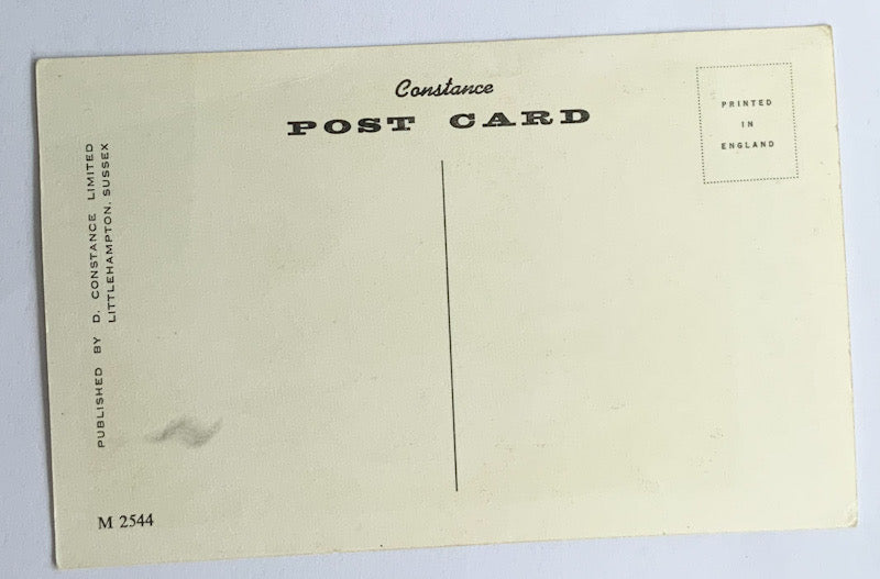 Vintage Comical Comic Series Postcard