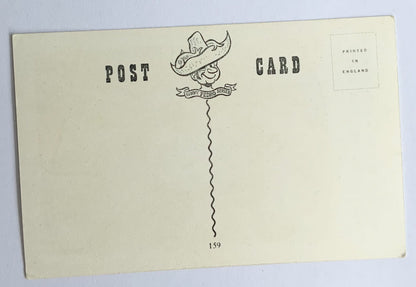 Vintage Comical Comic Series Postcard