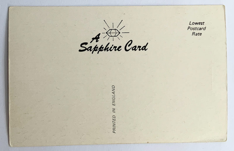 Vintage Comical Comic Series Postcard