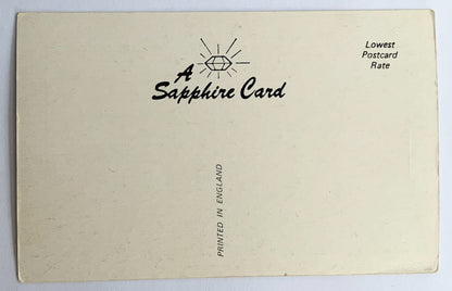 Vintage Comical Comic Series Postcard