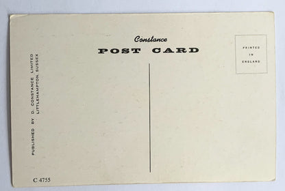 Vintage Comical Comic Series Postcard