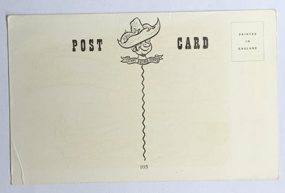 Vintage Comical Comic Series Postcard