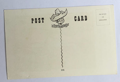 Vintage Comical Comic Series Postcard