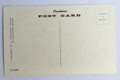 Vintage Comical Comic Series Postcard