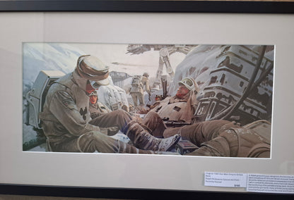 Original 1980 Star Wars Empire Strikes Back Ralph McQuarrie Concept Art Print Framed #9