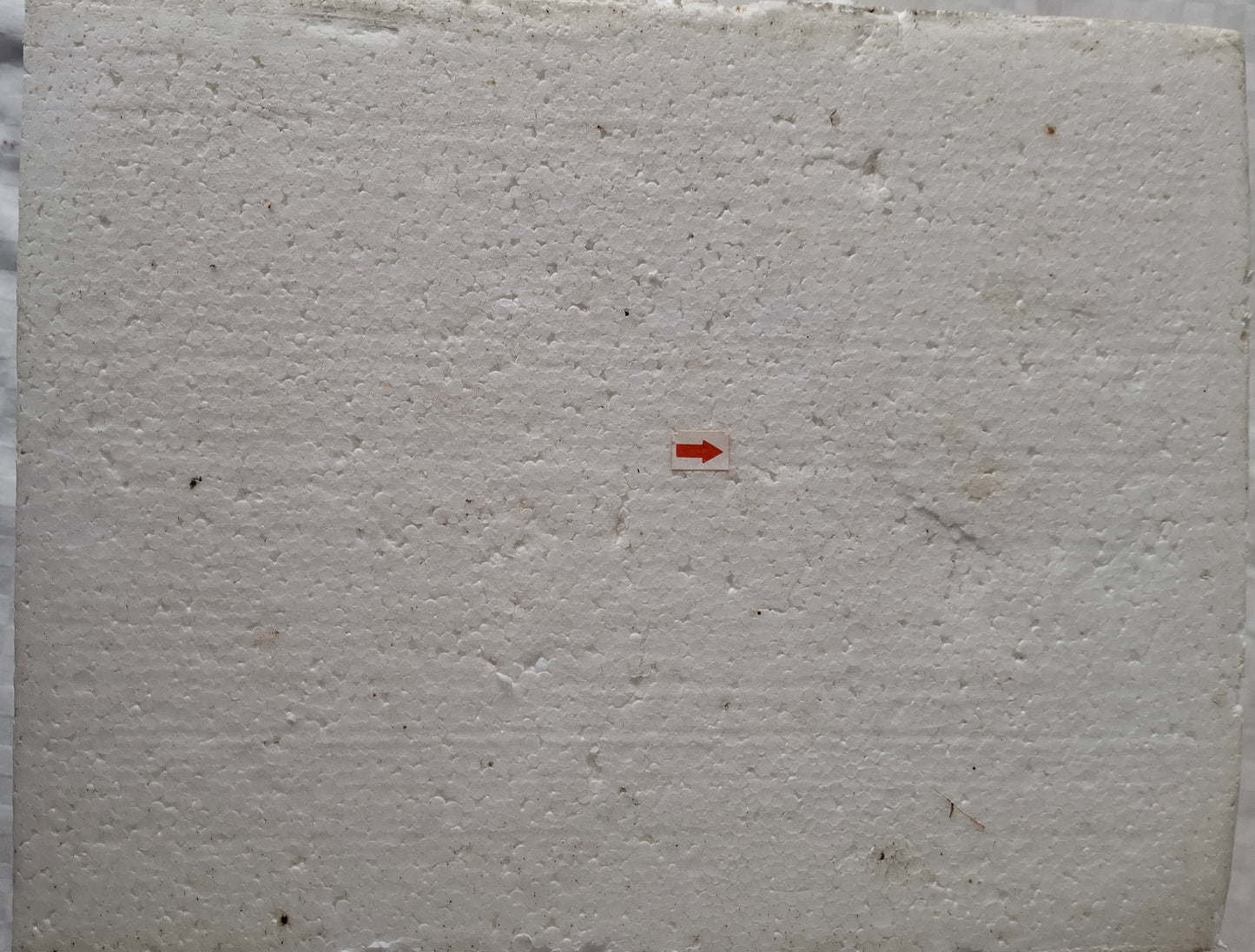 Asuka Shikinami Langley 1/6 figure motorcycle pose