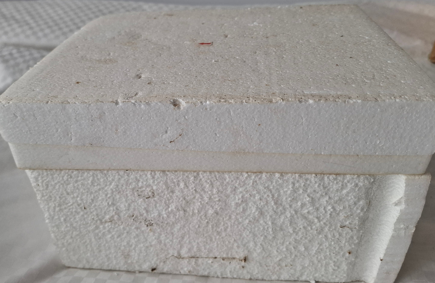 Asuka Shikinami Langley 1/6 figure motorcycle pose