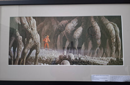 Original 1980 Star Wars Empire Strikes Back Ralph McQuarrie Concept Art Print Framed #17